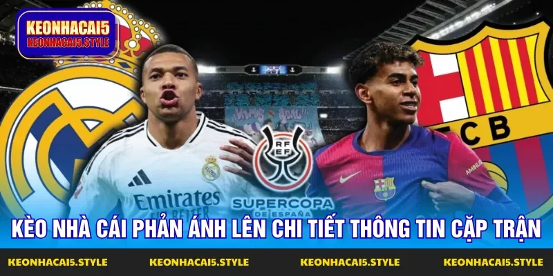 cac ty le giup phan anh len thong tin tran so tai