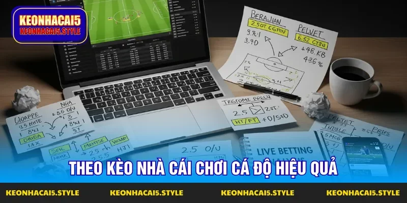 theo keo nha cai thao tac hieu qua khi choi ca do theo keo nha cai thao tac hieu qua khi choi ca do