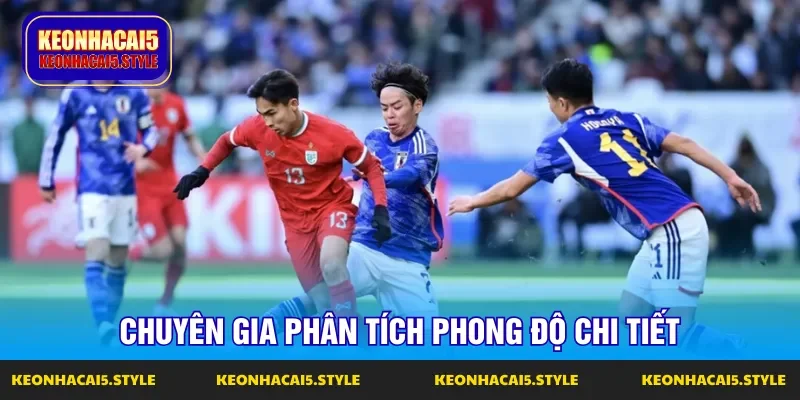 chuyen gia phan tich phong do chi tiet